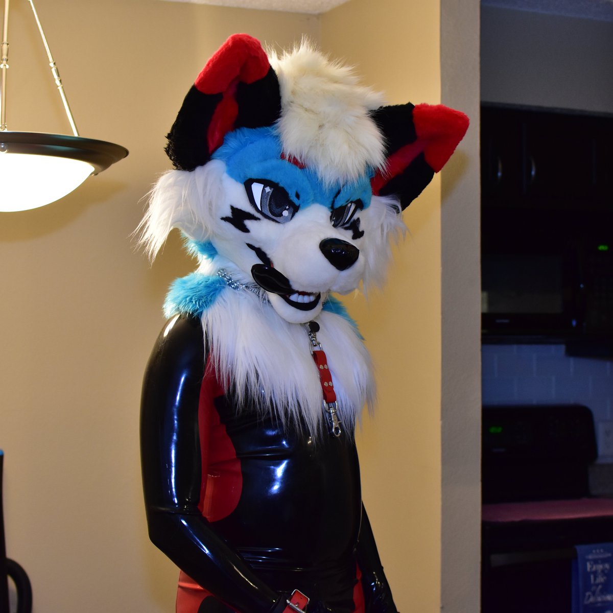 space_bull's tweet photo. I got my eye on you, but don't think I won't pounce given the opportunity. So you better take control of the leash or I'll take control of you~

#shiny #rubber #latexfur

📸 @Azuleuwu https://t.co/cg6KG4DcKx