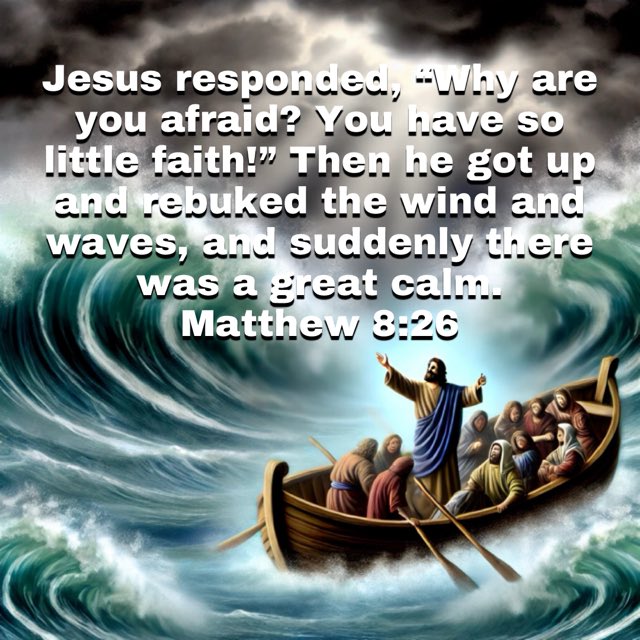 farho's tweet image. 