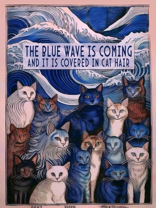 Reaproy's tweet image. The cat motifs supporting @KamalaHarris just keep coming ;-) 

Cat owners for sanity and to #DefeatTrump