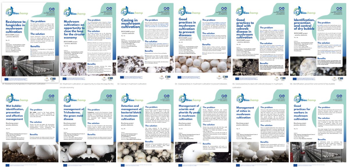 BIOSCHAMP's tweet image. Are you a primary producer in the #MushroomIndustry or wanna learn more about good practices and effective methods to fight and control #Mushroom diseases? Check our #PracticeAbstracts and discover how! 🍄

Find them here👉bit.ly/3Ai3vgb