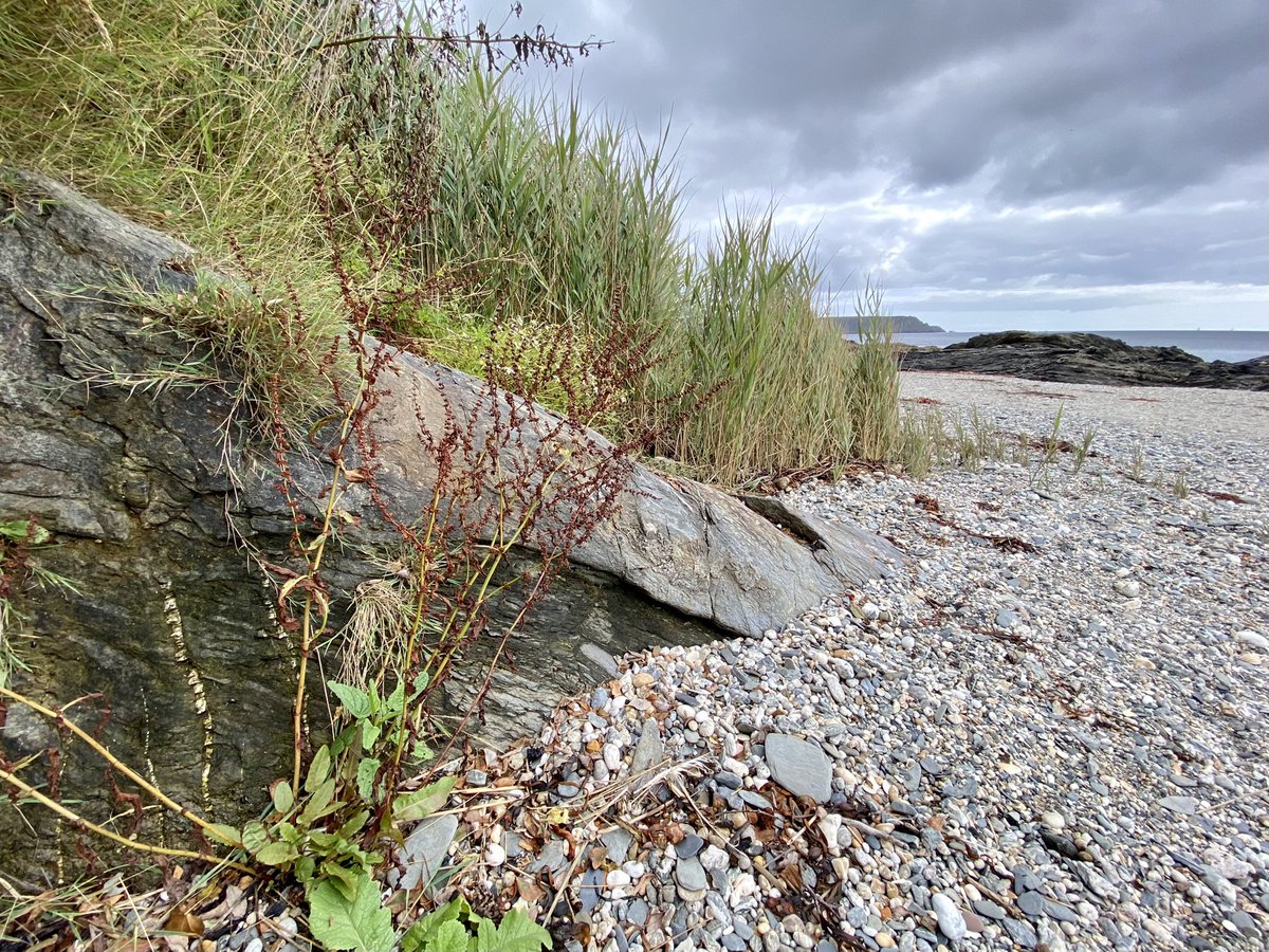 Dan Ryan tweet media