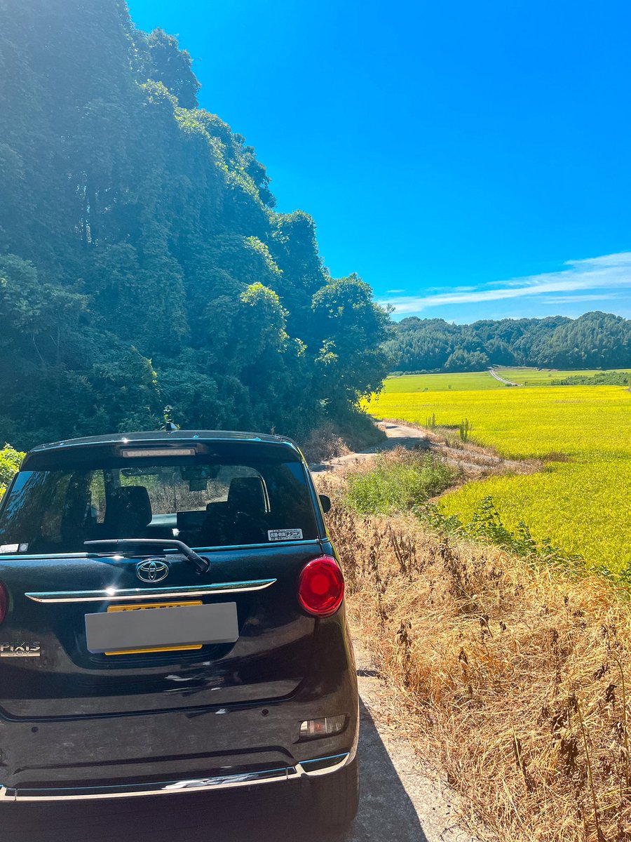 Exploring the countryside