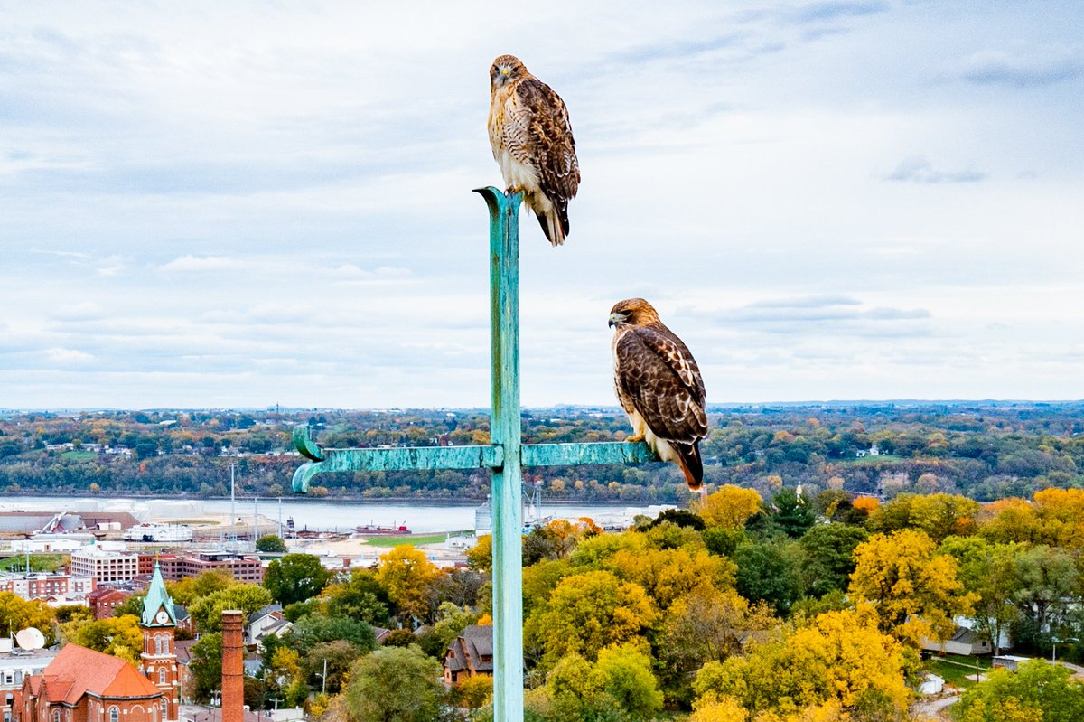 IT'S GO TIME!!

#FlyWithUs <a href="/LorasCollegeFB/">Loras College Football</a>