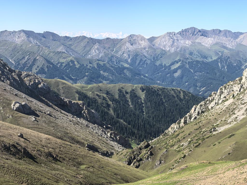 shevchenko (@xiangyu1985) on Twitter photo 