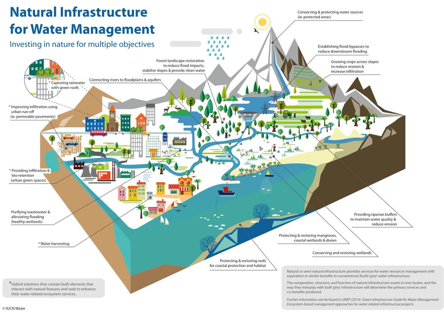 From mangroves protecting shorelines from storms to peatlands sequestering carbon, 'Natural Water Infrastructure' is a vital #NaturebasedSolution.  

Learn more about the services provided by natural water infrastructure.  ➡️ shorturl.at/nsA02

<a href="/IUCN/">IUCN</a>