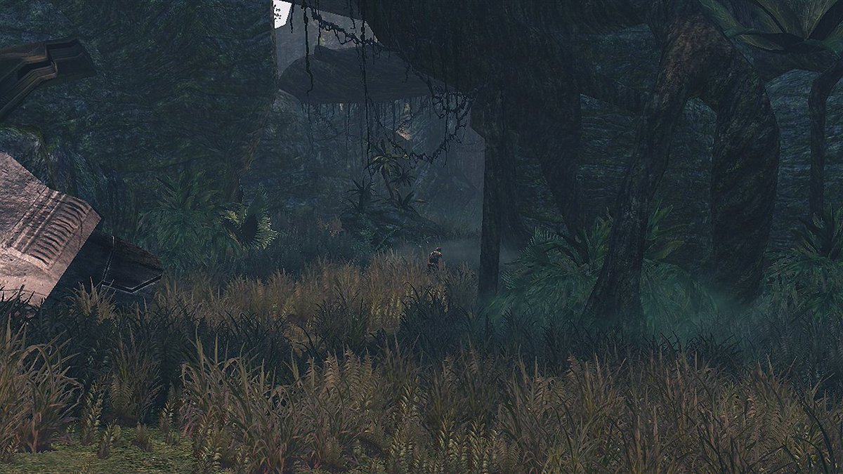 Austin Schaeffer tweet media