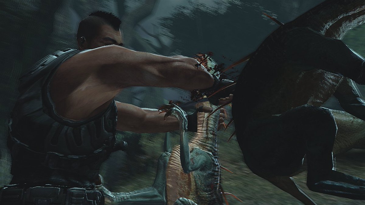 Austin Schaeffer tweet media