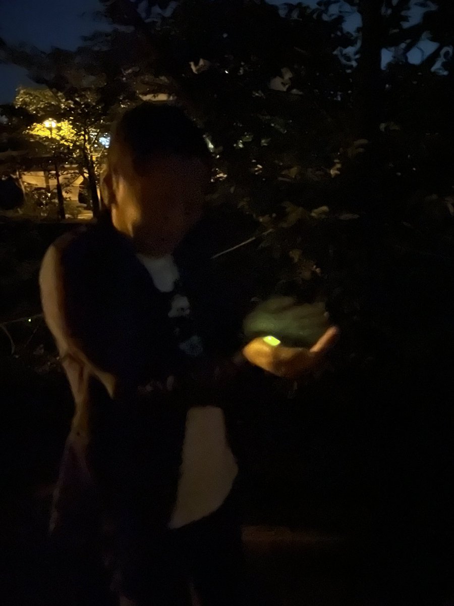 5月以降、心を亡くしてしまっていた。動いている最中に呟ければ良いのだけれど、自分はそれが下手なので、どうしても後追いになってしまう。棚卸し感覚で備忘録を投げる。6月の頭にいつもお世話になっている方の来山があった。ちょうどホタルの時期とも被ったので、一ノ坂にお連れできたのは良かった！