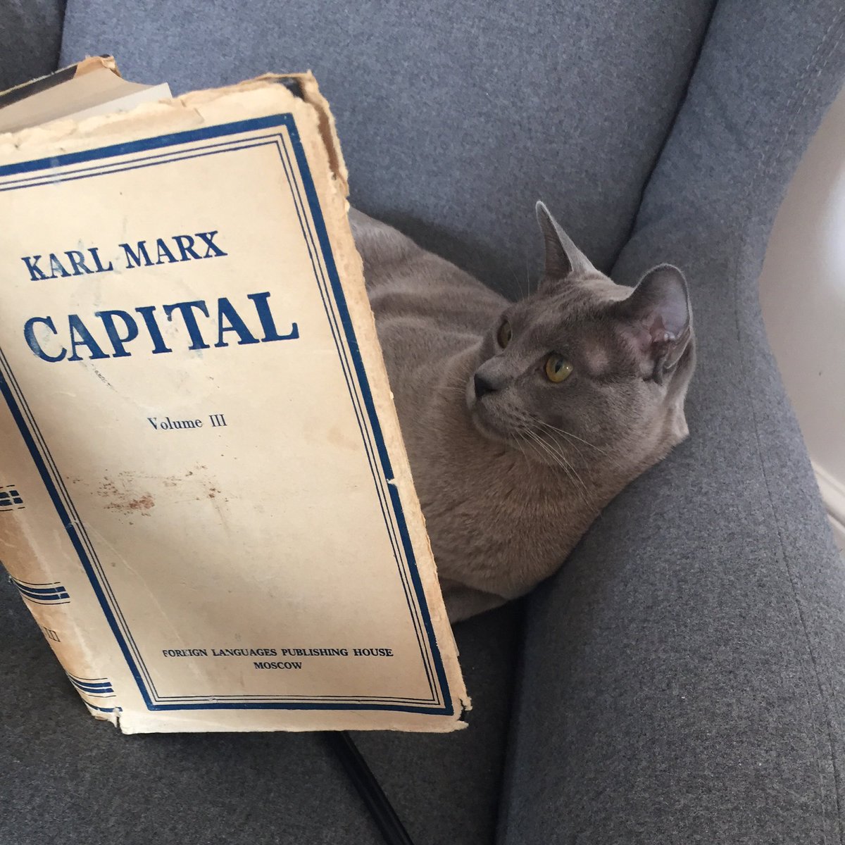 RayLizarragaV's tweet photo. Lean a #Marx https://t.co/3UXcaiZWkL