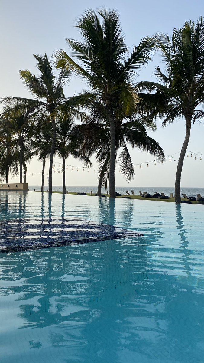 riixrr5's tweet photo. استرخاء ما بعد صلاله🌊🏊🏻‍♀️ https://t.co/TRweZoYmTT
