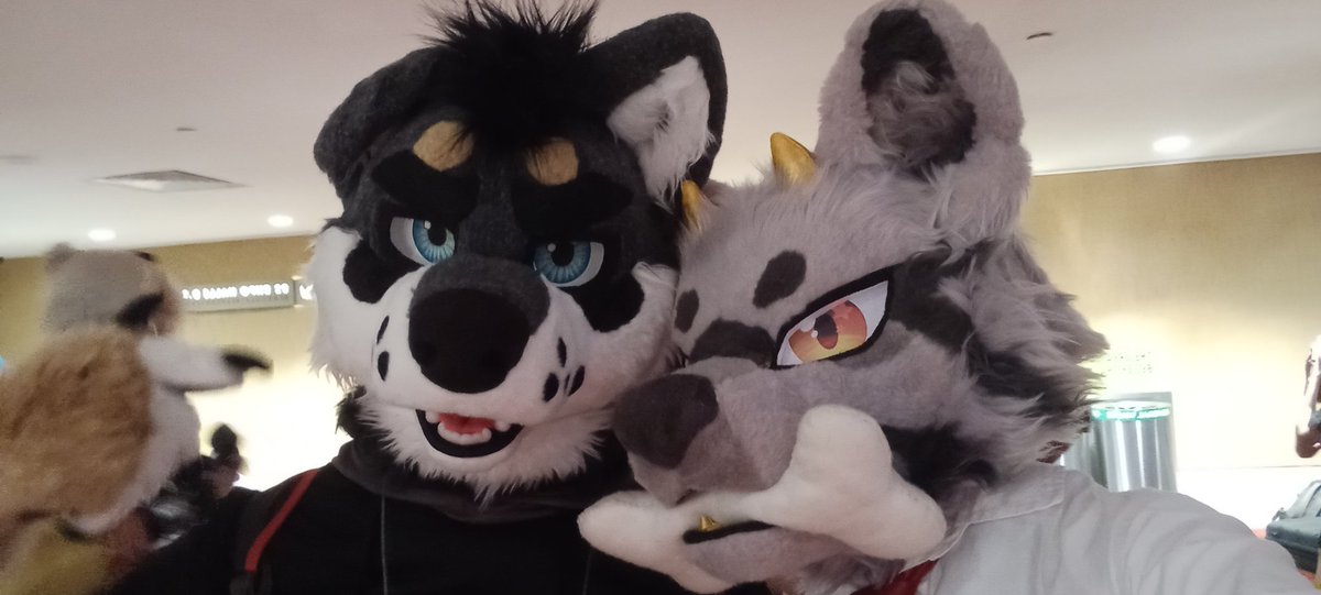 Dergable's tweet photo. It was nice meeting you at #cosfest2024 ‼️ 
🐶: @lethal33 https://t.co/SCOnFY3Tw8