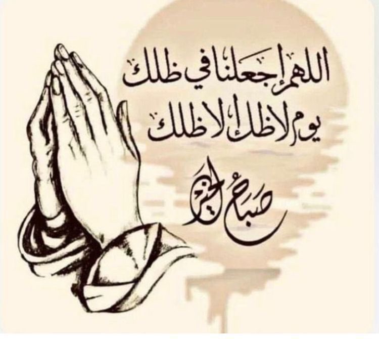 hshmhmd79815724's tweet image. 