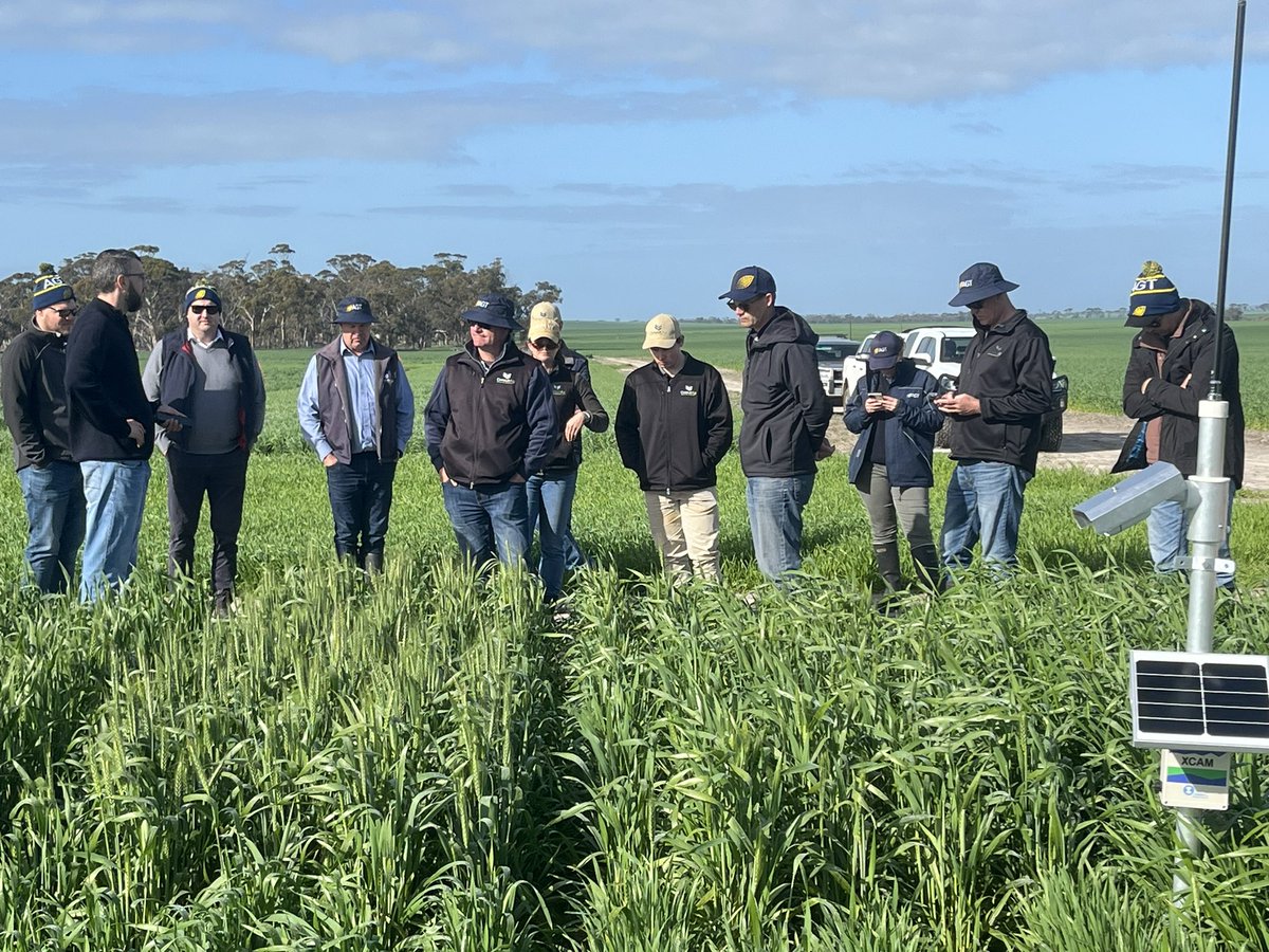 FloydS⚓🌾🤠🏉 tweet media