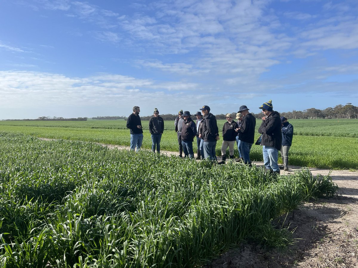 FloydS⚓🌾🤠🏉 tweet media