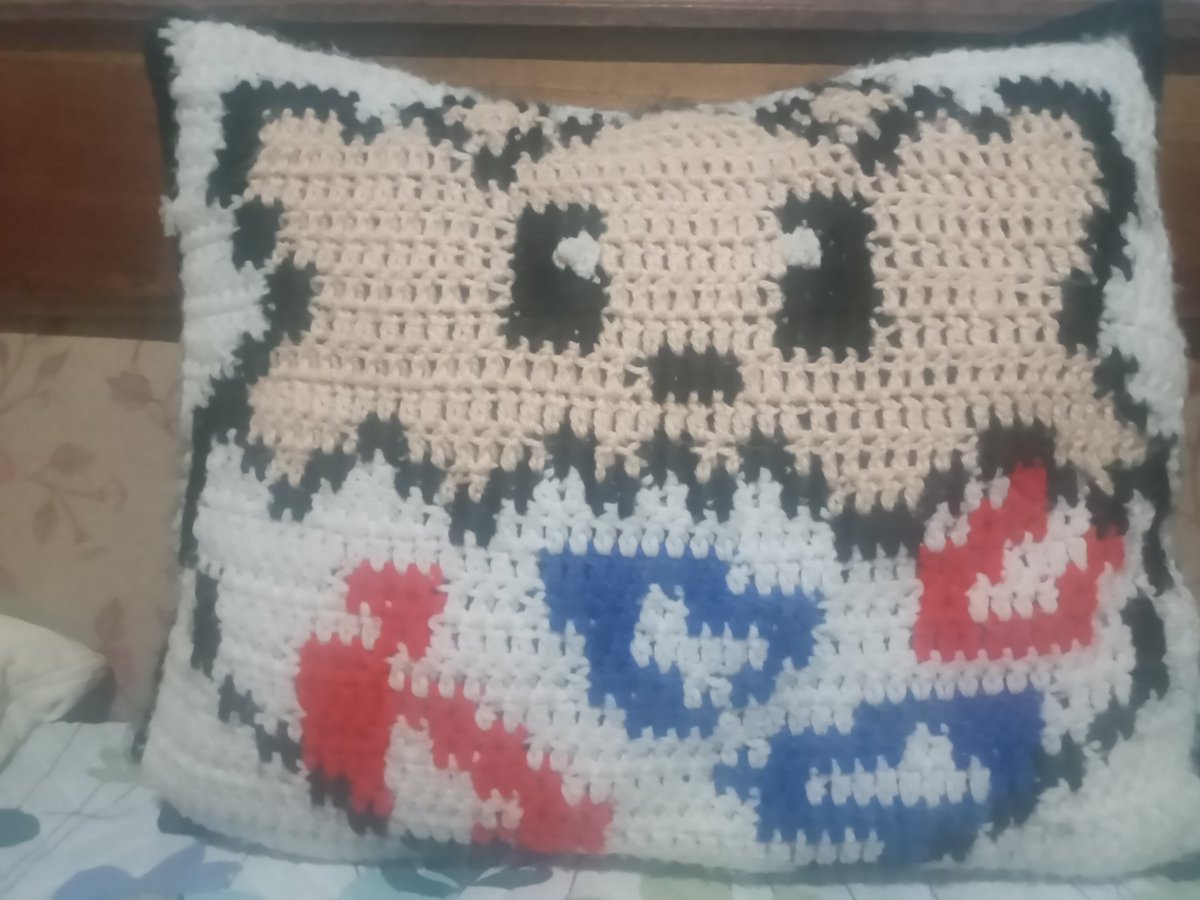 Caleiva07's tweet photo. Si me llego la almohada de Calepi. Esto es para todos aquellos que dudan de @terremototwitch https://t.co/EmurON7ccp