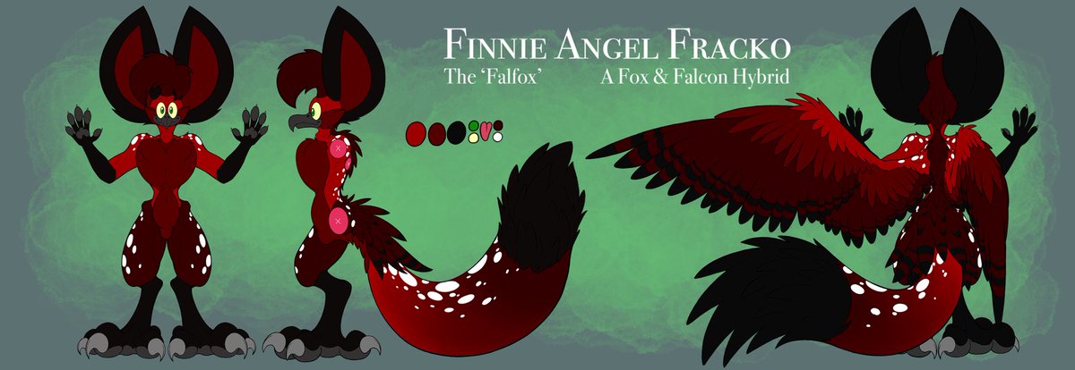 FinnieFracko's tweet photo. Welp, he’s done it. Finnie is now a Fox and Falcon hybrid. https://t.co/zS9lhejUq0