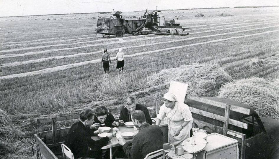 Прошло  70 лет с начала освоения целины."Обед в поле".