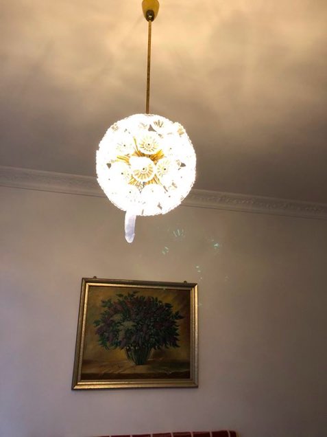 Hi wanna play ranked? tweet media