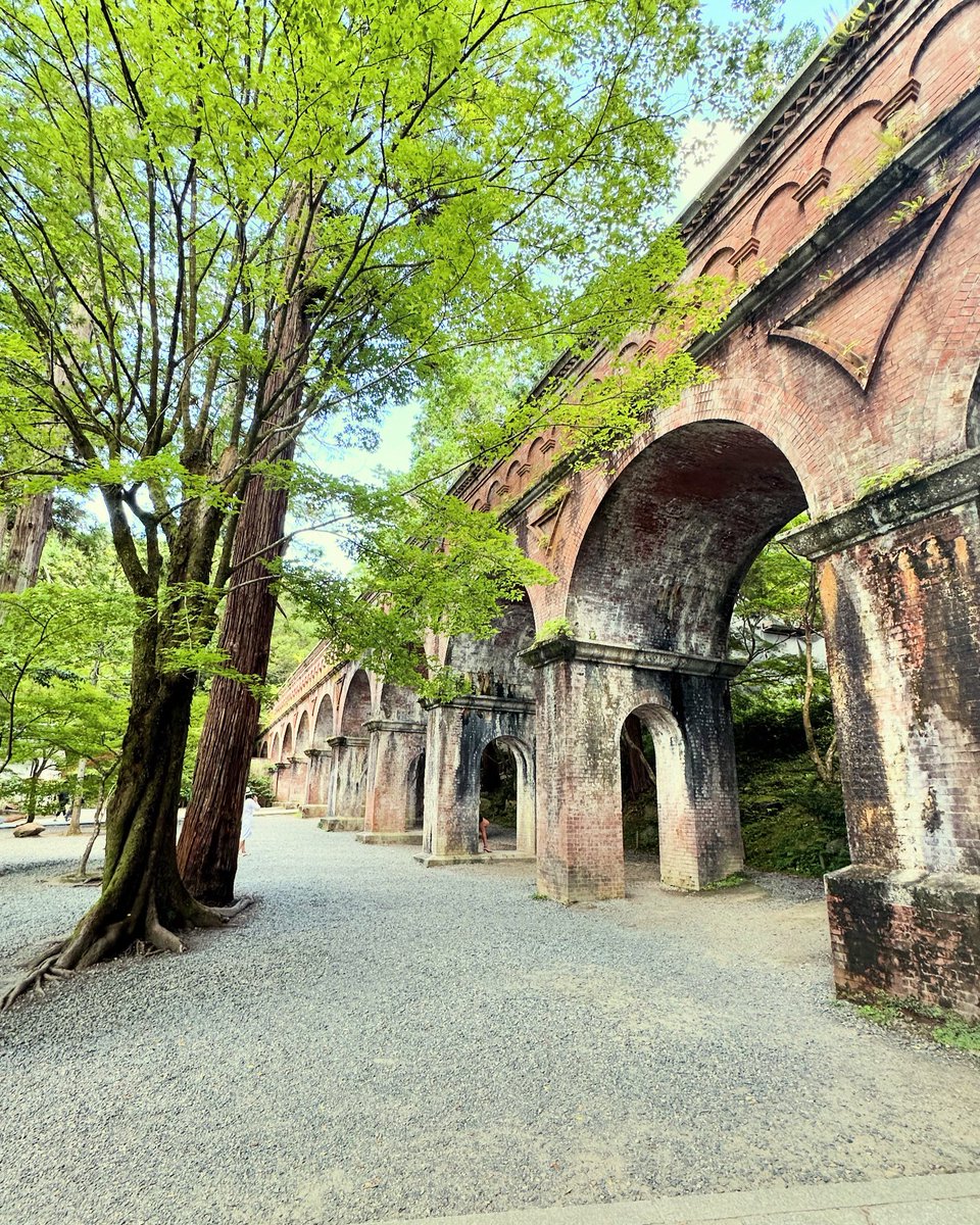 ゆかな　井上麻里奈　直筆サイン（東京電機大学　秋葉祭2016） Yahoo!オークション -「井上麻里奈サイン」の落札相場・落札価格