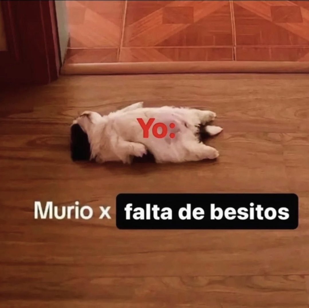 MontagRB_ (@mrayrb) on Twitter photo 