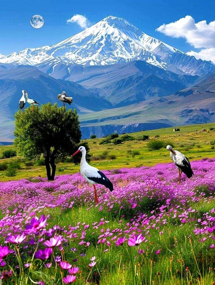 Günaydın sağlıklı huzurlu mutlu ve bereketli sabahlar hersey gönlünüzce olsun inşallah