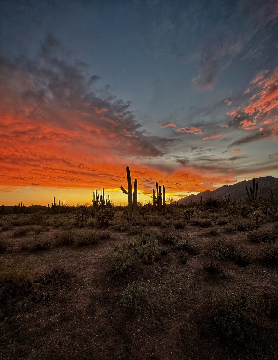 Allophile's tweet image. Not a bad way to end a Monday in Tucson…
#azwx #getintotheoutthere @ThePhotoHour 
instagram.com/p/C-mTJ0kRrKv/…
@Apple #shotoniphone