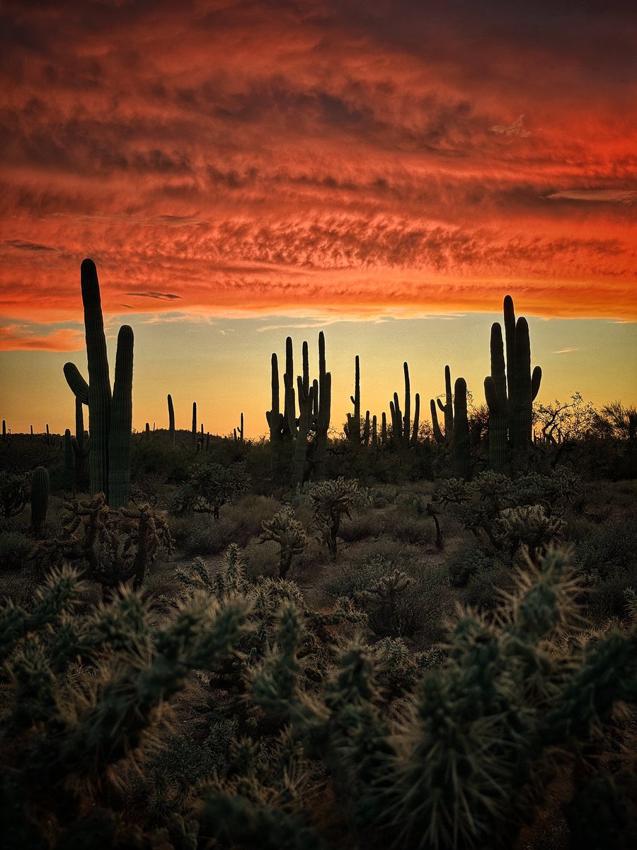 Allophile's tweet image. Not a bad way to end a Monday in Tucson…
#azwx #getintotheoutthere @ThePhotoHour 
instagram.com/p/C-mTJ0kRrKv/…
@Apple #shotoniphone