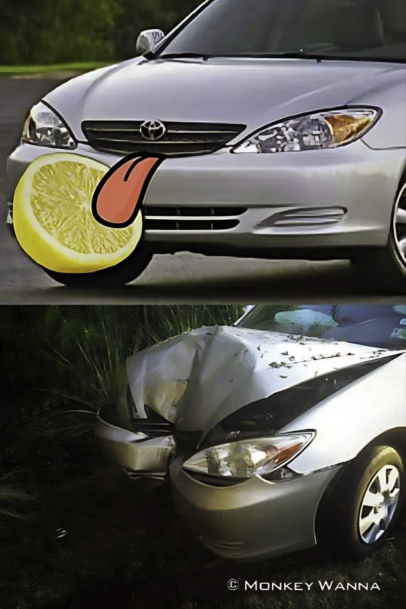 El grifo pirata carmesí (🌒🎲📜) tweet media