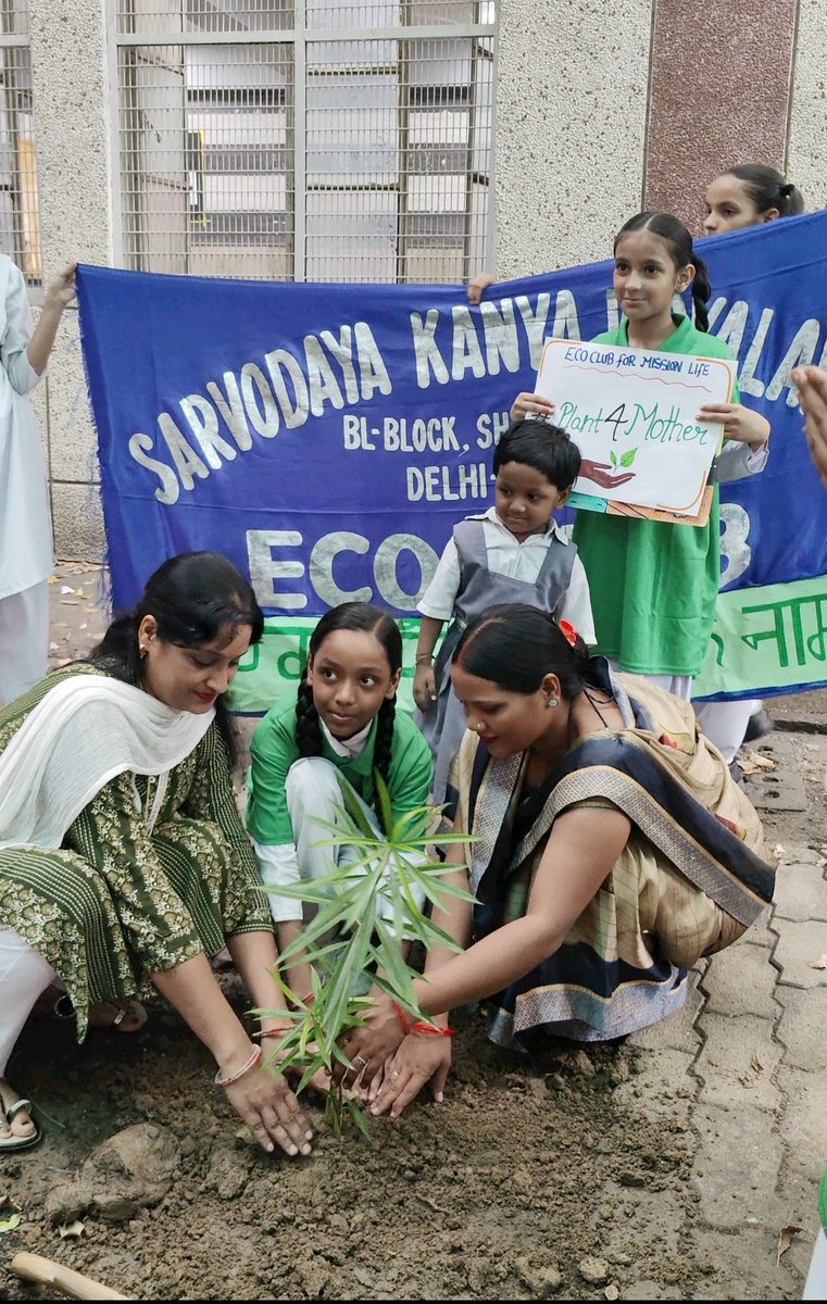 Sakshiinsan2024's tweet image. Celebrating life, celebrating nature. Birthday wishes to our guiding light! For ‘MSG Bhandara’ 56th birthday of Saint MSG Insan, Dera Sacha Sauda volunteers pledged to make world greener.  🌍 🌳 #56thBirthday #SaintDrMSG #TreePlantation