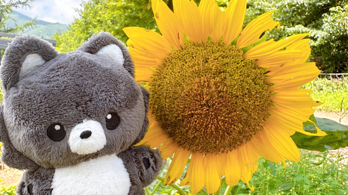 털정리 안된 오빠 B컷