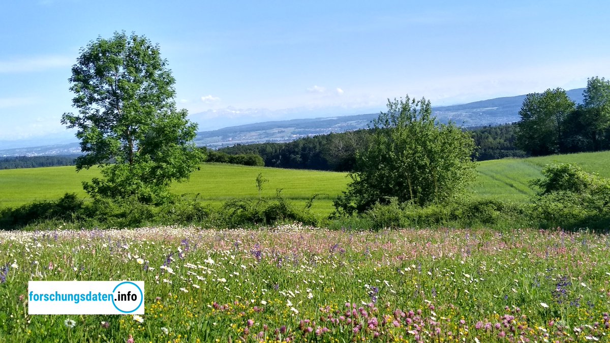 Umfrage von <a href="/NFDI4memory/">NFDI 4Memory (@NFDI4memory@nfdi.social)</a> zu Praktiken, Standards und Bedarfen zur Datenqualität in den Communities der historisch arbeitenden Fächer. Das Konsortium bittet um Rückmeldungen bis 15. Oktober.

forschungsdaten.info/nachrichten/na…

#Forschungsdaten #Forschungsdatenmanagement #OpenScience #FDM