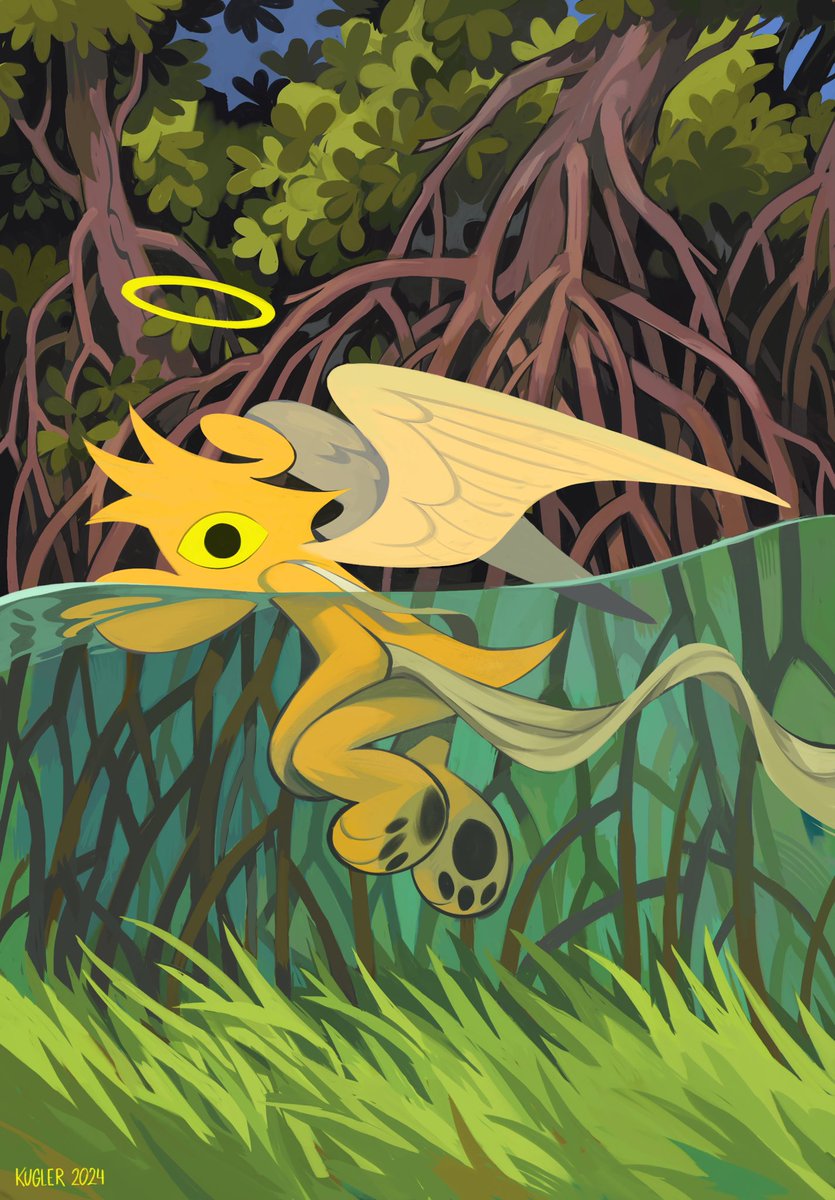 dreaming of the everglades