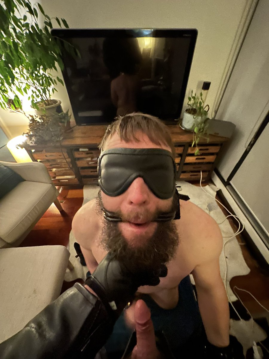 BEARDED:AU tweet media