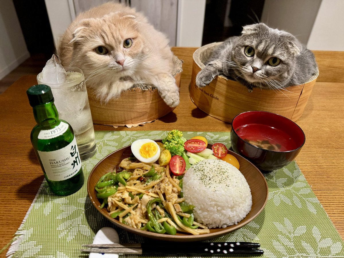 ndTu67XYaawnA2U's tweet photo. 青椒肉絲と猫達
Green pepper meat &amp; Cats
#猫 #スコティッシュフォールド #青椒肉絲 #白州 #ミニボトル #ローソン #ハイボール 
#cat #scottishfold #greenpeppermeat #hakushu #minibottle #lowson #highball https://t.co/VygpGuZ0Lb