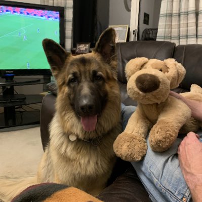 Kaiser_lufc's tweet photo. #NewProfilePic https://t.co/2YVhJHCs3C