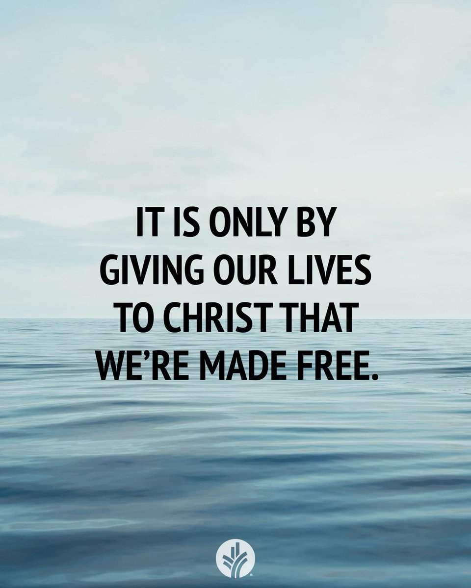 johnsonrn's tweet image. 