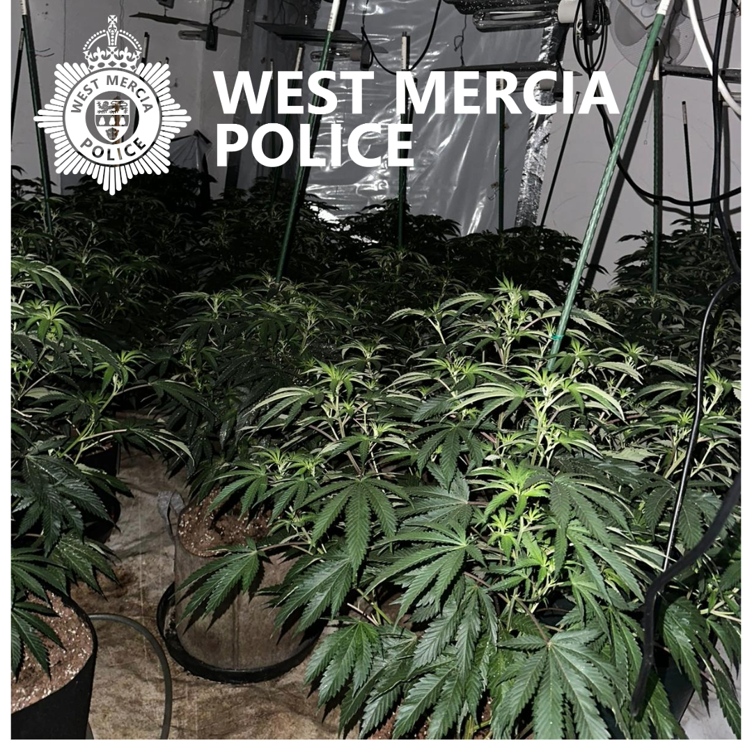 A cannabis grow of more than 100 plants with an estimated street value of £40,000 was recovered by police in Kidderminster yesterday.

Officers were responding to a call from an electricity firm on a visit to a property at Blackwell Street.

Read more ➡️ orlo.uk/noJVj