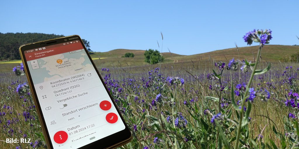 Das Online Erfassungsportal „Flora-SH“ wurde jetzt aktualisiert und durch eine neue App für die Geländearbeit ergänzt. Damit können Funde von Wildpflanzen direkt beim Kartieren an das Portal übermittelt werden. 🌿🌺🌾

➡️rote-liste-zentrum.de/de/Flora-SH-er…

#RoteListe #Pflanzen  #Botanik