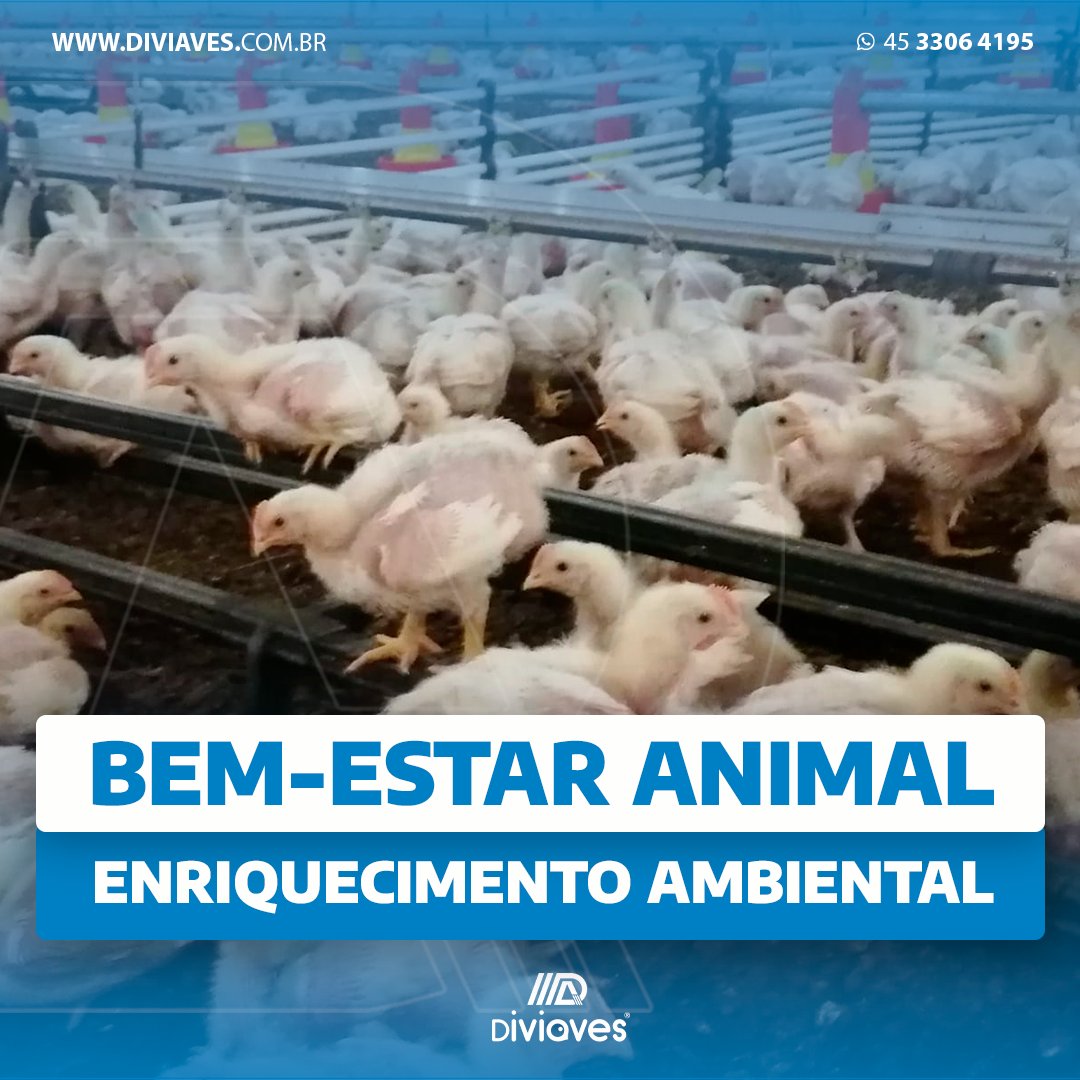 O enriquecimento ambiental é uma prática que busca melhorar a qualidade de vida dos animais, proporcionando estímulos físicos e mentais que imitam os desafios encontrados na natureza. Nisso inclui-se o bem-estar animal.