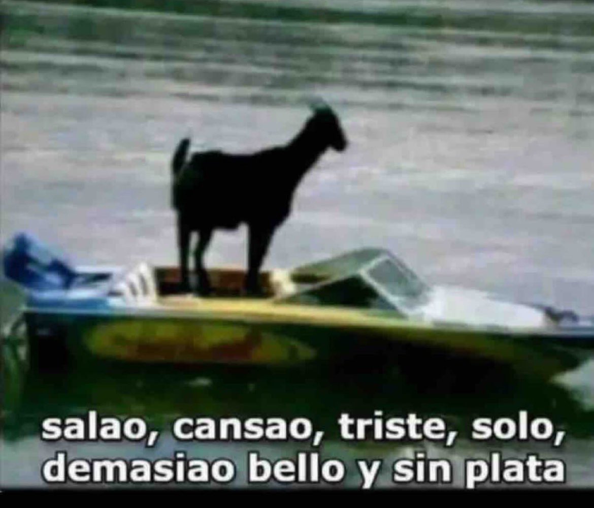 sifandres016's tweet image. 