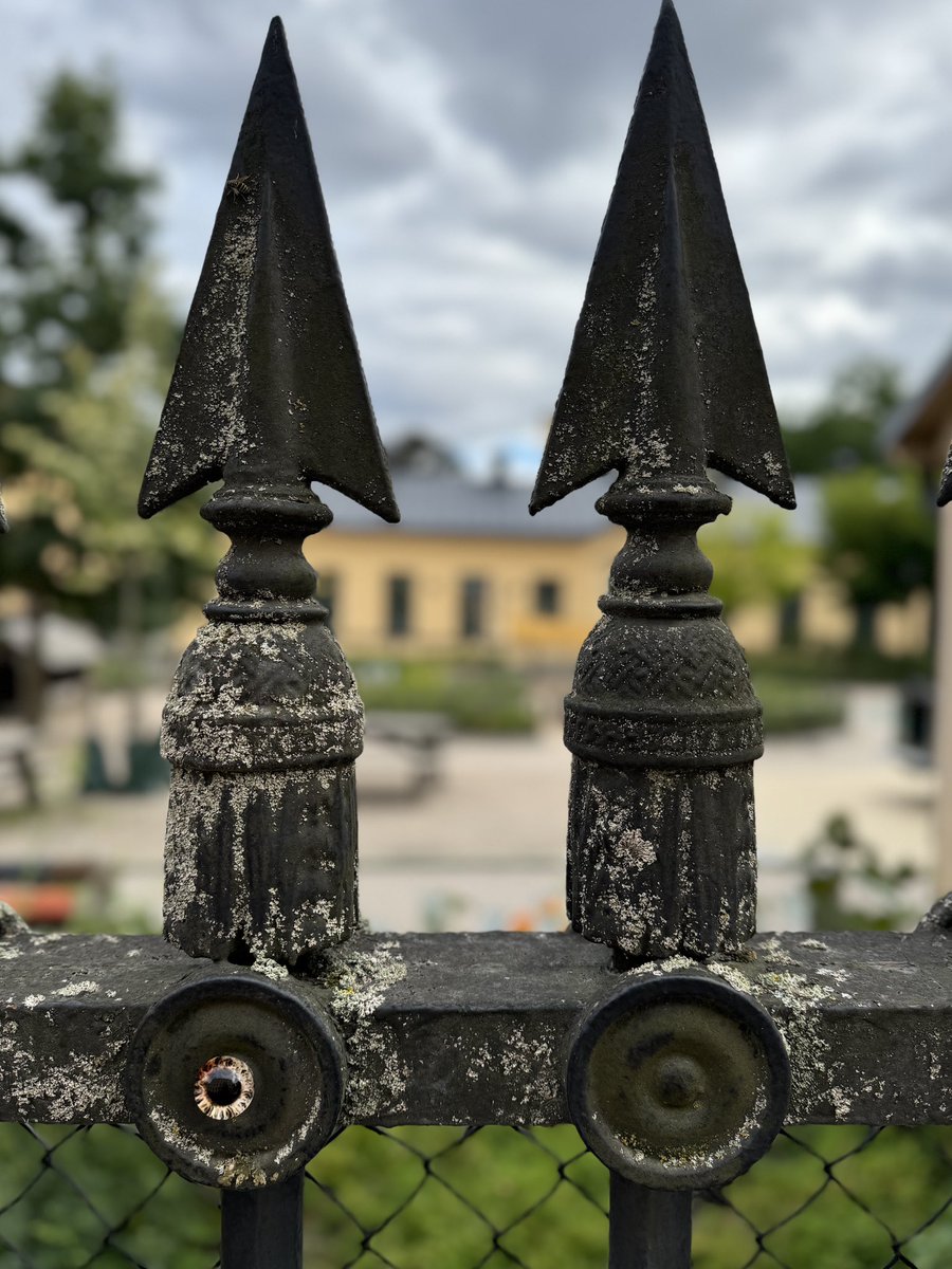 ogonvittnet's tweet photo. 👁️ No 65 
(59.32799, 18.05020)

Ögat studerar figuren som försjunkit i måndagen. Figuren studerar den lysande rektangeln i sin hand. Getingen studerar laven på staketet och funderar på att bygga sommarens allra sista varv på den gråa globen. Måste googla getingars livslängd. https://t.co/O6N2F39Ahx