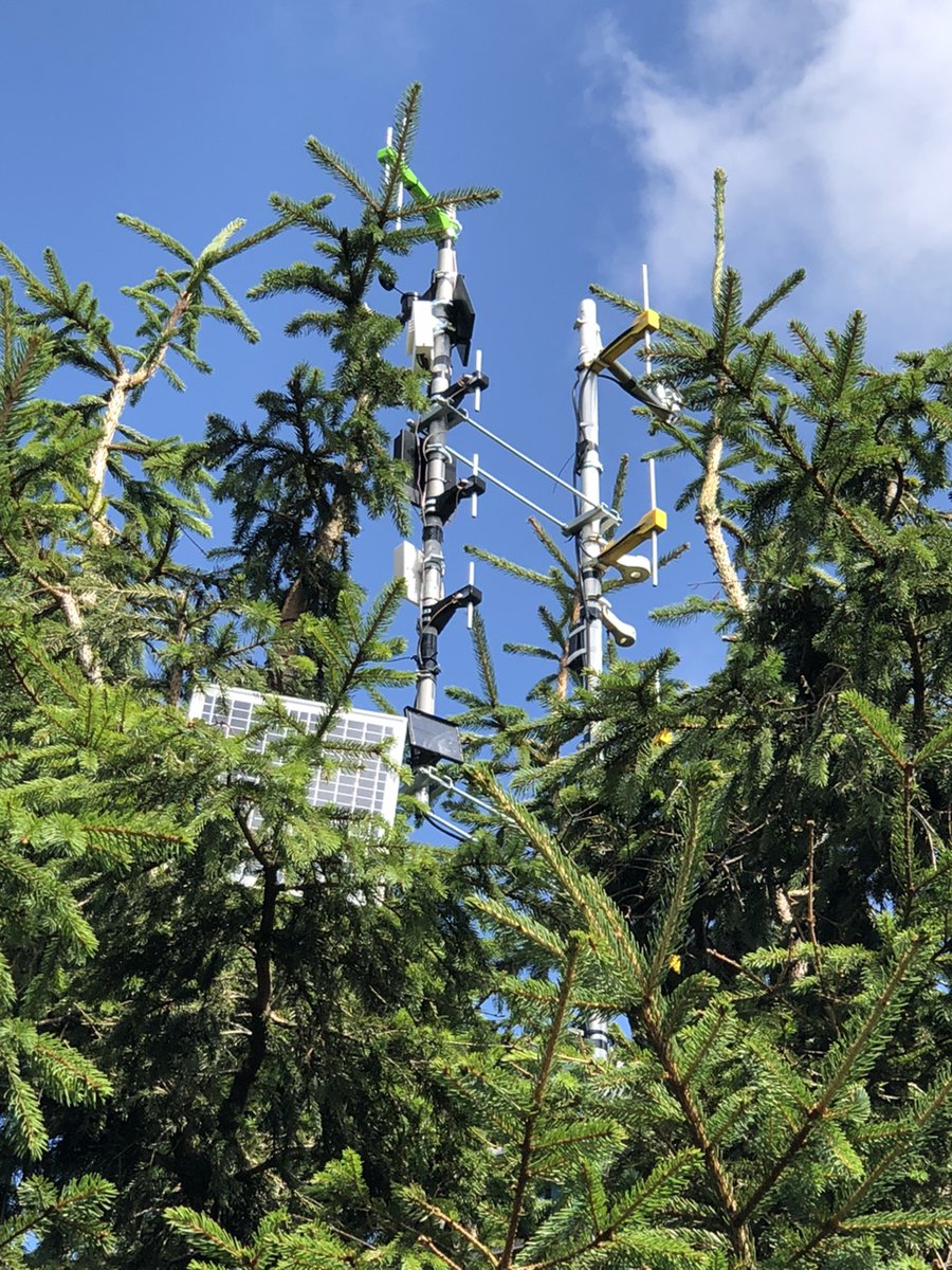 ok2zaw's tweet image. Upgrade at solar site - MeshCom, Meshtastic, LoRa APRS, Packet Radio and WX :)
ok2zaw.blogspot.com/2024/08/update…
#Meshtastic #meshcom #LoRa