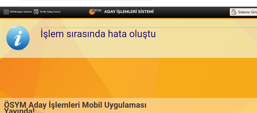zeynep🧚🏻♀️ tweet media