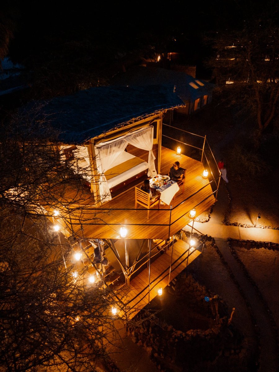 BushAndEvents's tweet photo. Experience the ultimate blend of luxury and wilderness at Soroi Larsens Camp. Nestled in the heart of nature, it offers breathtaking views, close wildlife encounters, &amp; unforgettable safari experiences. Perfect for adventurers and tranquility seekers alike. #Safari #LuxuryTravel https://t.co/RFRXUECGCj