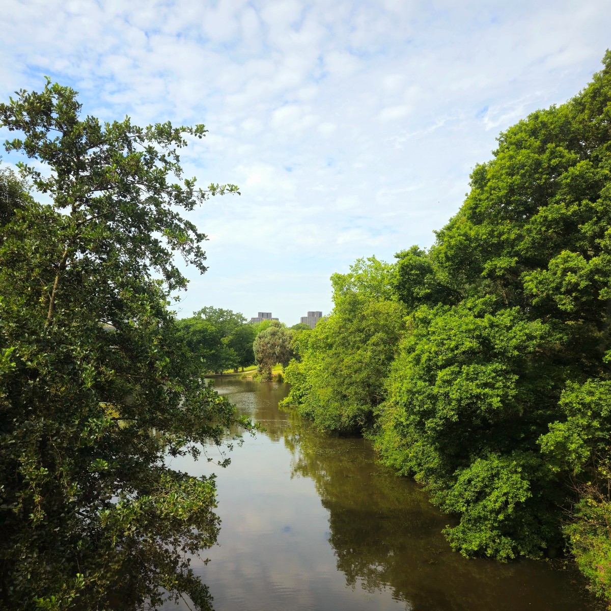 From beautiful parkland to unwind in, to first-class sports facilities to get active, our Colchester Campus is amazing.

And with green spaces becoming less accessible to millions across the UK, our campus gives your student journey the perfect boost.

60stories.essex.ac.uk/green-space-fo…