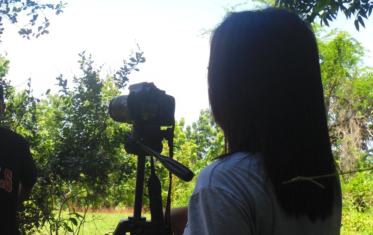 ✮ tweet media