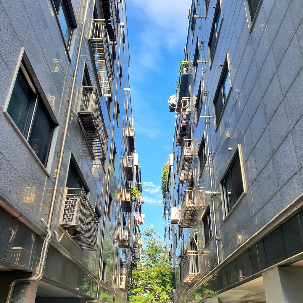 Icheol.k tweet media