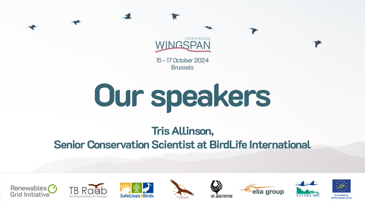 SafeLines4Birds (@safelines4birds) on Twitter photo 🗣️#Wingspan2024 speaker announcement!🚨
<a href="/TrisAllinson/">Tris Allinson</a> brings insights from working closely with governments⚖️, financial institutions 💶 & the energy sector🔌 to ensure nature is considered at every stage of energy development 🛠
Check out the programme👉t.ly/OeqIq 🗣️#Wingspan2024 speaker announcement!🚨
<a href="/TrisAllinson/">Tris Allinson</a> brings insights from working closely with governments⚖️, financial institutions 💶 & the energy sector🔌 to ensure nature is considered at every stage of energy development 🛠
Check out the programme👉t.ly/OeqIq