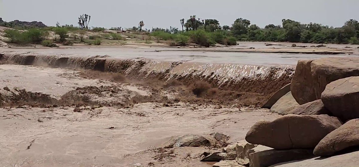 hawelti's tweet photo. #Eritrea: With minor variance from the positive forecasts for the rainy season this year, actual precipitation levels to-date have and remain above normal in most parts of the country.  Farmers individual initiatives coupled with provision of tractor services at much subsidized prices by the Corporation of Seeds and Livestock are yielding encouraging results in Gash Barka and other regions in the country.