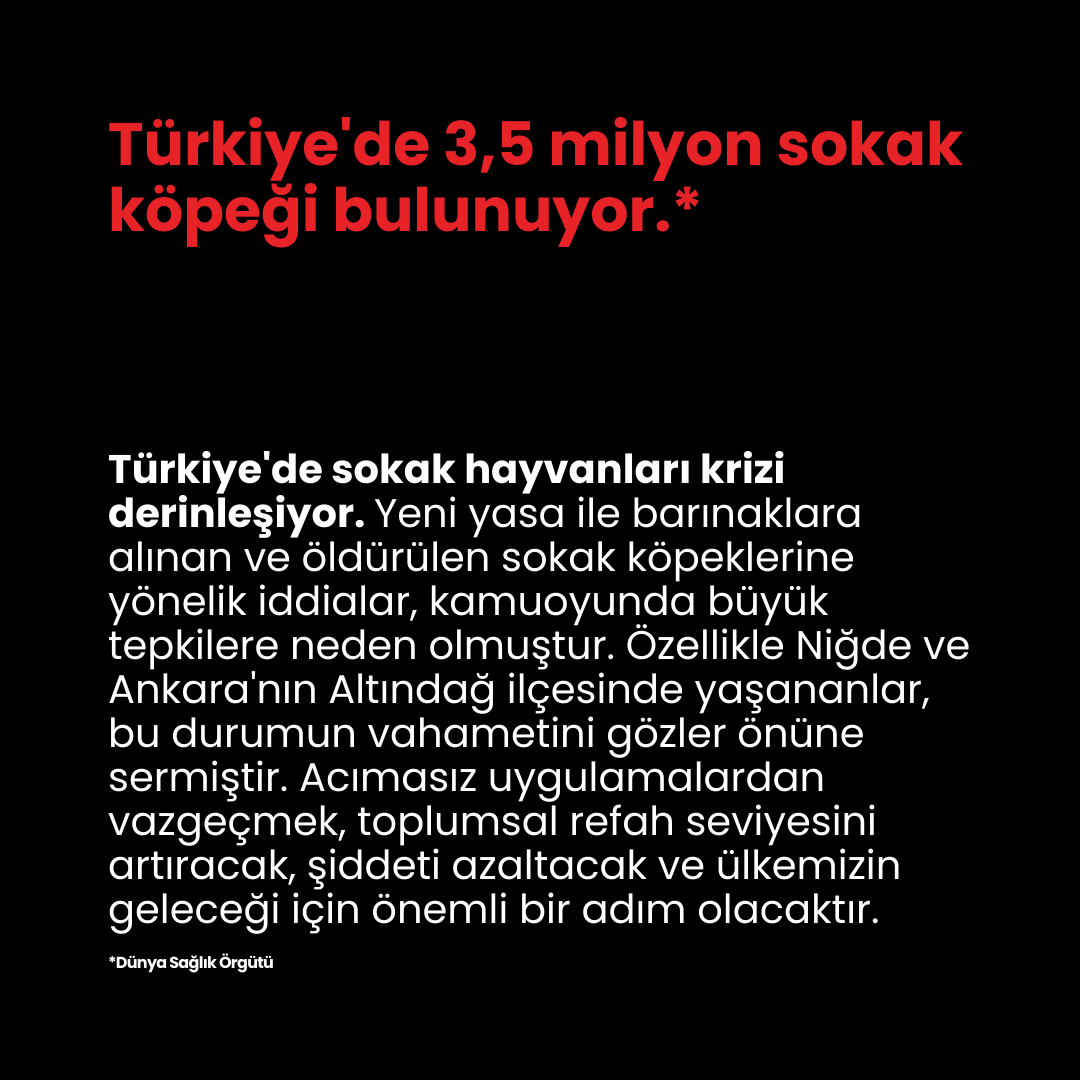 cobirebir's tweet photo. 🐾 Türkiye'de 3,5 milyon sokak köpeği var. Yeni yasa, özellikle Niğde ve Ankara Altındağ'da büyük tepkilere neden oldu. Acımasız uygulamalar toplumsal refahı nasıl etkiliyor? #HayvanHakları #Türkiye https://t.co/crxcYU8Iur